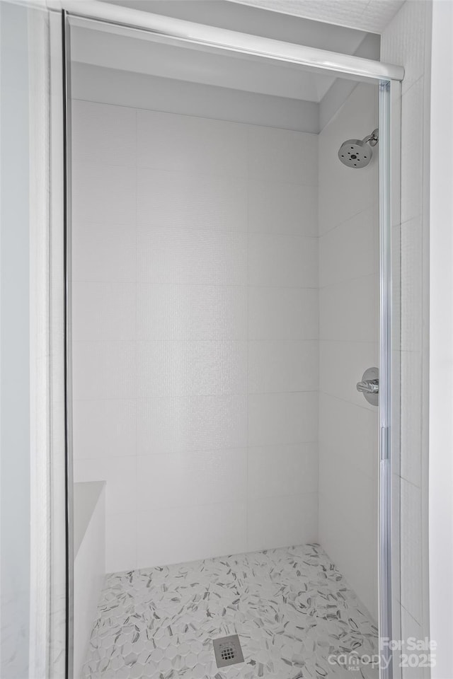 149 Beauchamp Oaks Ct, Advance, NC 27006 - bathroom with a stall shower