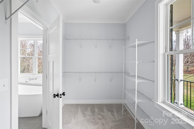 149 Beauchamp Oaks Ct, Advance, NC 27006 - spacious closet with carpet flooring