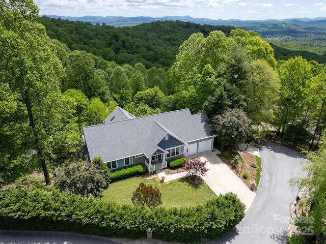105 Spring Path, Hendersonville, NC 28739 - photo 5
