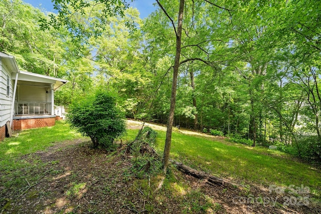 1917 Tom Sadler Rd, Charlotte, NC 28214 - view of grassy yard