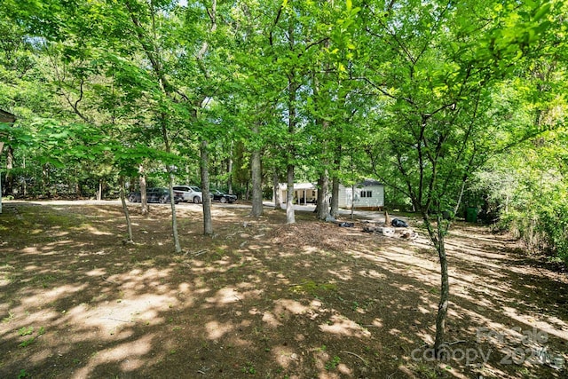 1917 Tom Sadler Rd, Charlotte, NC 28214 - view of yard