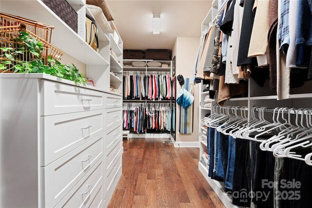 spacious closet featuring wood finished floors