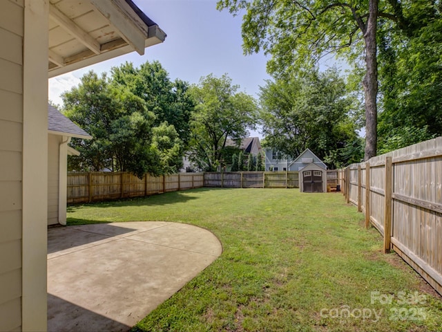 view of yard featuring a patio area, a storage unit, and an outbuilding