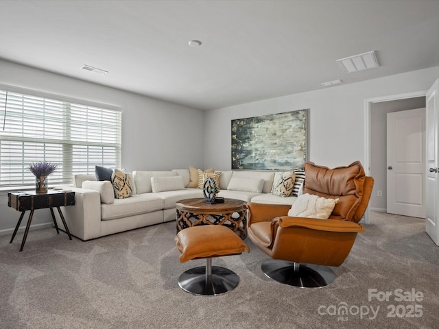 5581 Soft Shell Dr, Lancaster, SC 29720 - carpeted living room featuring baseboards