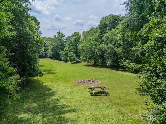3387 Passmore Rd, Rock Hill, SC 29730 - view of grassy yard
