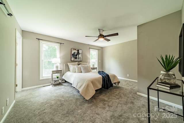 3387 Passmore Rd, Rock Hill, SC 29730 - bedroom with carpet, baseboards, and a ceiling fan