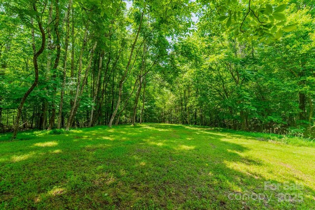 3387 Passmore Rd, Rock Hill, SC 29730 - view of grassy yard with a view of trees