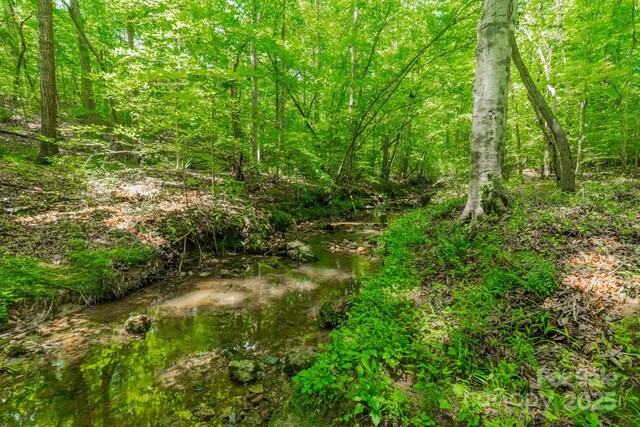 3387 Passmore Rd, Rock Hill, SC 29730 - view of woods