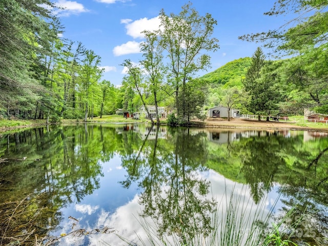 259 Black Oak Cove Rd, Candler, NC 28715 - photo 2