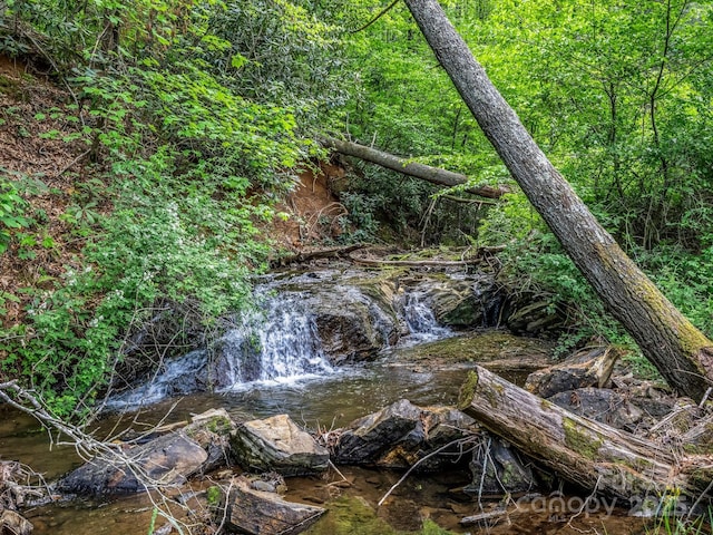 259 Black Oak Cove Rd, Candler, NC 28715 - photo 42