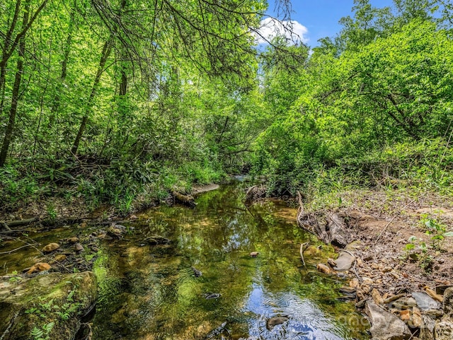 259 Black Oak Cove Rd, Candler, NC 28715 - photo 43