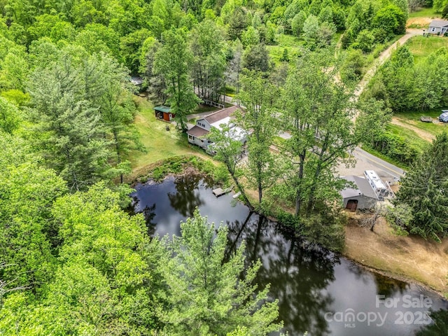 259 Black Oak Cove Rd, Candler, NC 28715 - photo 44