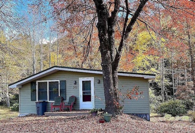 259 Black Oak Cove Rd, Candler, NC 28715 - photo 45