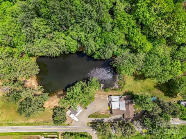 259 Black Oak Cove Rd, Candler, NC 28715 - photo 4