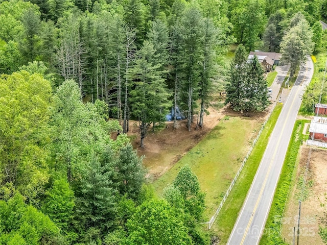 259 Black Oak Cove Rd, Candler, NC 28715 - photo 6