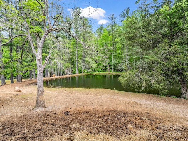 259 Black Oak Cove Rd, Candler, NC 28715 - photo 14