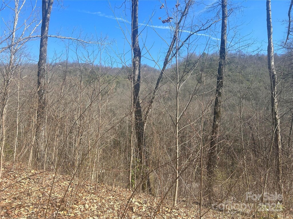 0 Towaliga Dr Unit 94, Bryson City, NC 28713 - photo 1