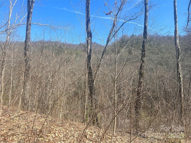 0 Towaliga Dr Unit 94, Bryson City, NC 28713 - photo 1