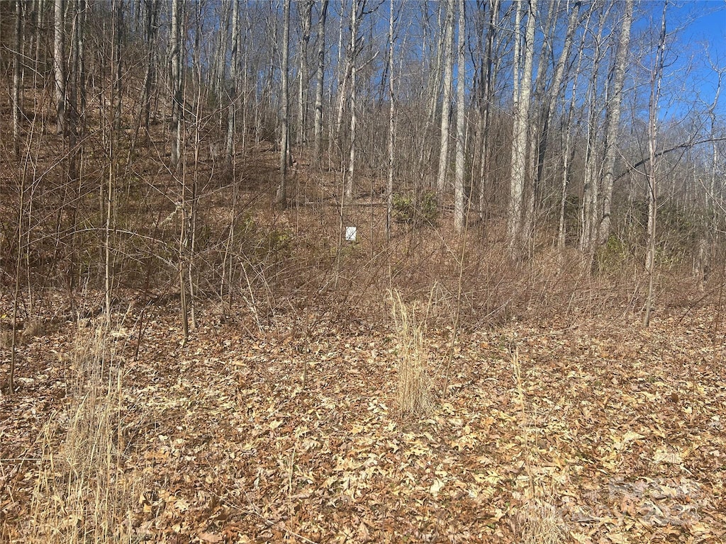 0 Towaliga Dr Unit 94, Bryson City, NC 28713 - photo 2