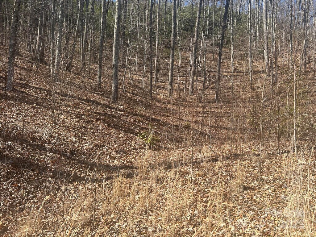 0 Towaliga Dr Unit 94, Bryson City, NC 28713 - photo 3