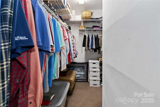 view of walk in closet