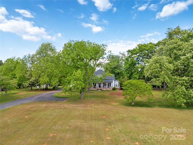 view of green lawn featuring driveway