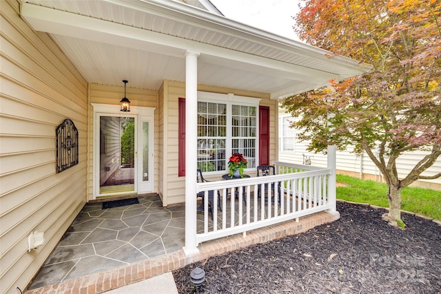 422 Garnet Ct, Fort Mill, SC 29708 - property entrance with a porch