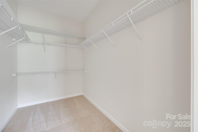 422 Garnet Ct, Fort Mill, SC 29708 - walk in closet featuring carpet