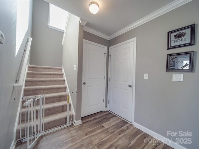 417 Homestead Ln, Albemarle, NC 28001 - photo 14