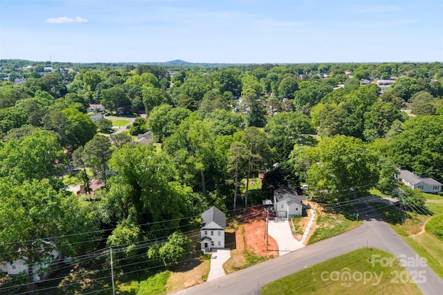 bird's eye view
