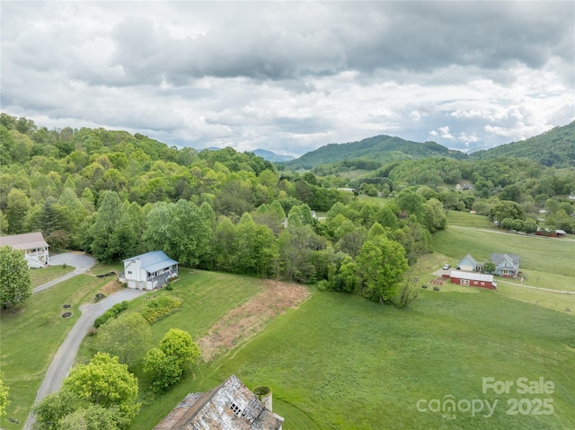 234 Snyder Farm Rd, Waynesville, NC 28786 - overview of rural landscape with mountains and a forest