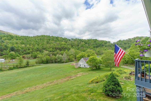 234 Snyder Farm Rd, Waynesville, NC 28786 - view of green lawn with a view of trees