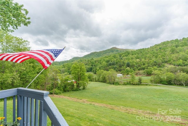 234 Snyder Farm Rd, Waynesville, NC 28786 - photo 2