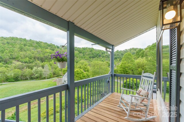 234 Snyder Farm Rd, Waynesville, NC 28786 - photo 15