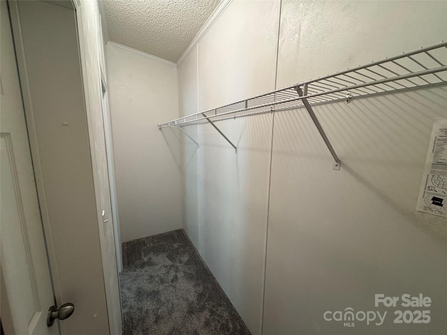 40 Mountainview Rd, Asheville, NC 28806 - walk in closet featuring carpet floors