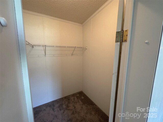40 Mountainview Rd, Asheville, NC 28806 - spacious closet with carpet