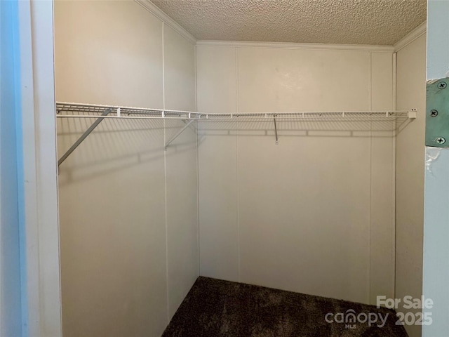 40 Mountainview Rd, Asheville, NC 28806 - view of walk in closet