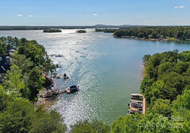 143 Jeremy Point Pl, Mooresville, NC 28117 - aerial view of a large body of water