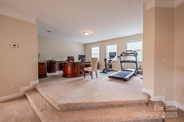 7245 Willow Brook Ct, Denver, NC 28037 - carpeted office featuring baseboards
