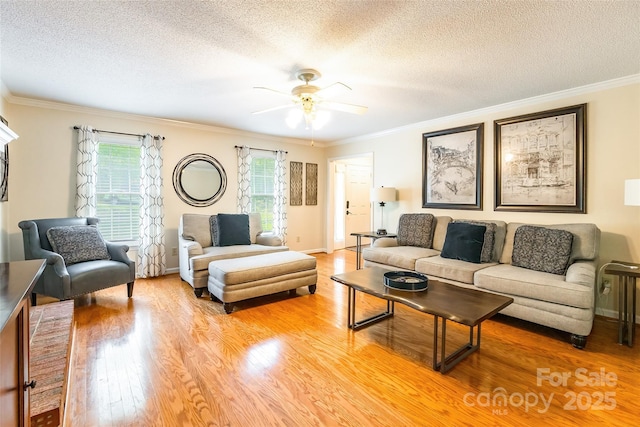 2730 Tiffany Dr, Rock Hill, SC 29732 - living room with crown molding, ceiling fan, a textured ceiling, light wood finished floors, and baseboards