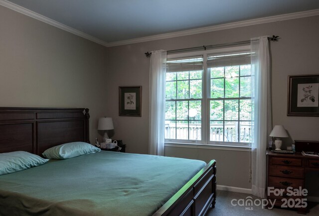 4398 Mud Puddle Ln, Lenoir, NC 28645 - carpeted bedroom featuring crown molding and baseboards