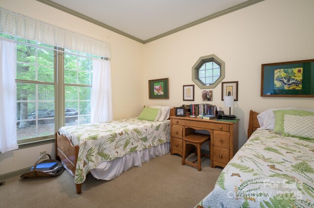 4398 Mud Puddle Ln, Lenoir, NC 28645 - carpeted bedroom with crown molding