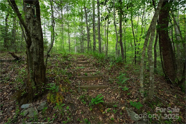 4398 Mud Puddle Ln, Lenoir, NC 28645 - view of tree filled area
