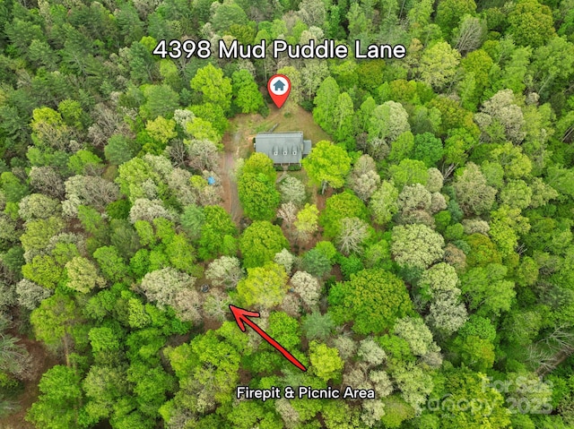 4398 Mud Puddle Ln, Lenoir, NC 28645 - drone / aerial view