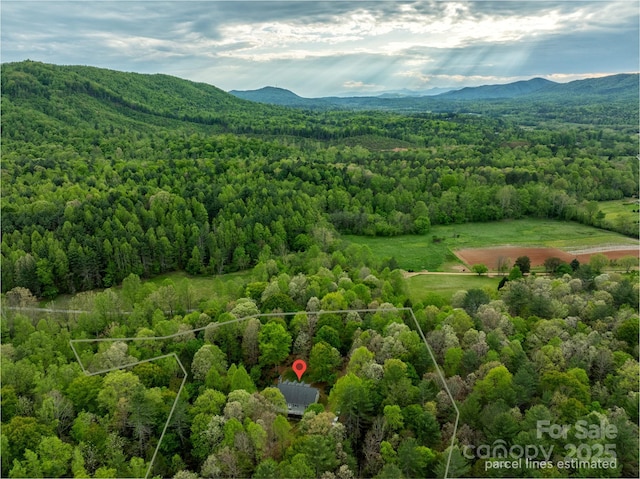 4398 Mud Puddle Ln, Lenoir, NC 28645 - bird's eye view of a forest and a mountain backdrop