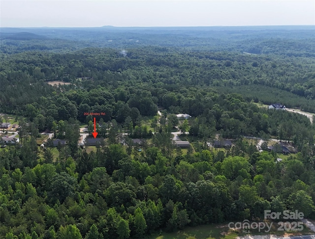 200 Mosley Rd, Blacksburg, SC 29702 - bird's eye view of a forest
