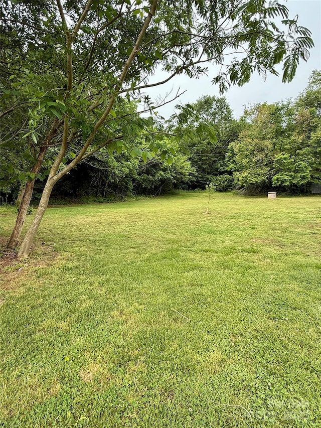 view of grassy yard