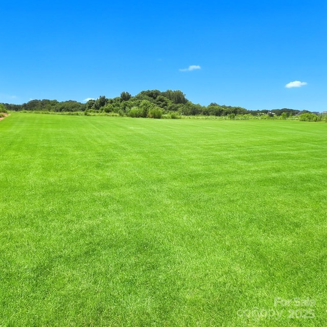 LOT101 Coppergate Dr, Salisbury, NC 28147 - view of local wilderness