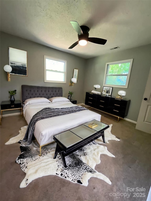 152 Mountainview St, Forest City, NC 28043 - bedroom with multiple windows, carpet floors, a ceiling fan, and baseboards