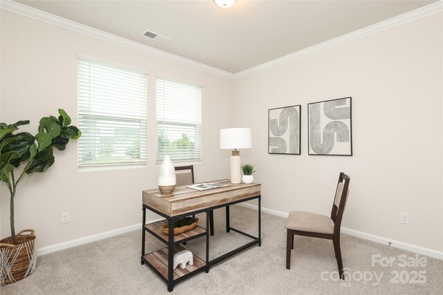 1119 Bellshill Dr, Indian Trail, NC 28079 - office space featuring crown molding, light carpet, and baseboards